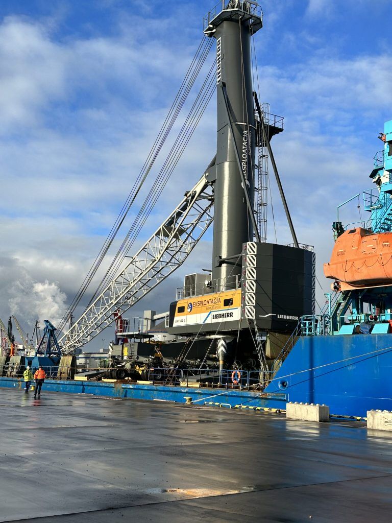 Shore crane on the deck of the vessel