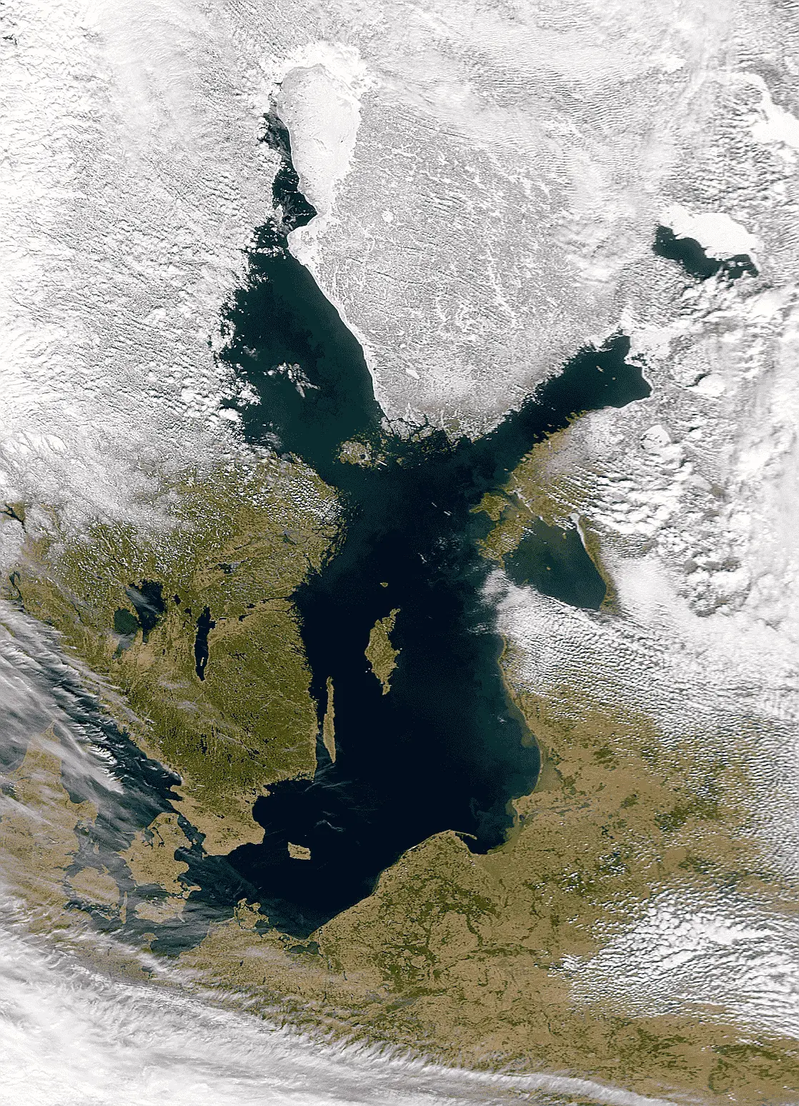 Read more about the article Does the Baltic Sea freeze over in winter?